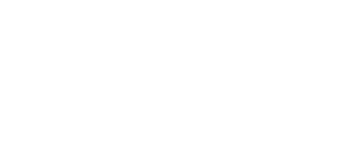 The Academic Publishing